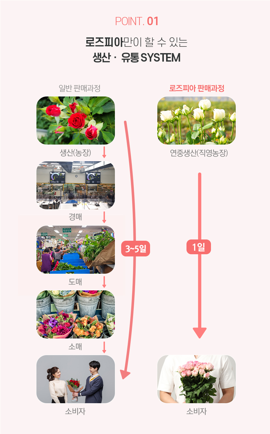 로즈피아-상세페이지_09.jpg