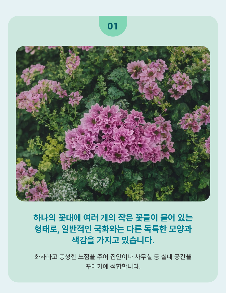 SAV_250519120449_3.png