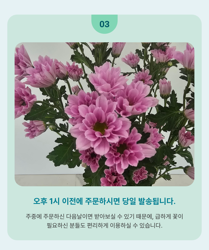 SAV_250519120449_5.png