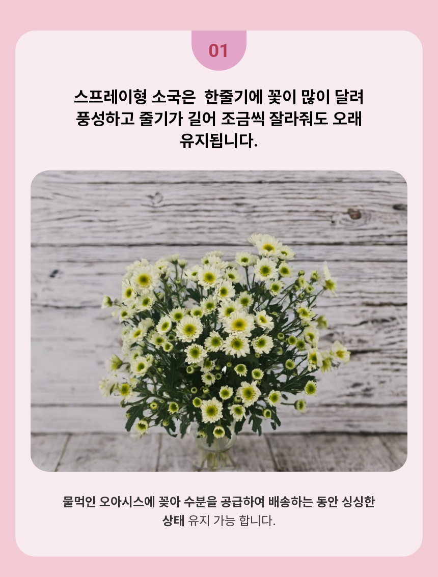 SAV_250516123446_3.png