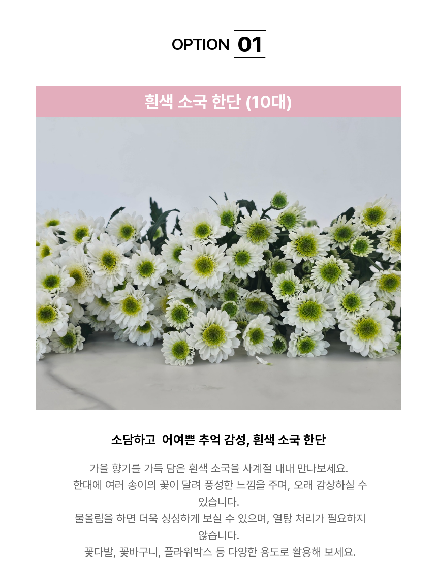 SAV_250516123446_9.png