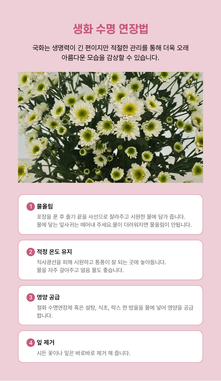 SAV_250516123446_10.png