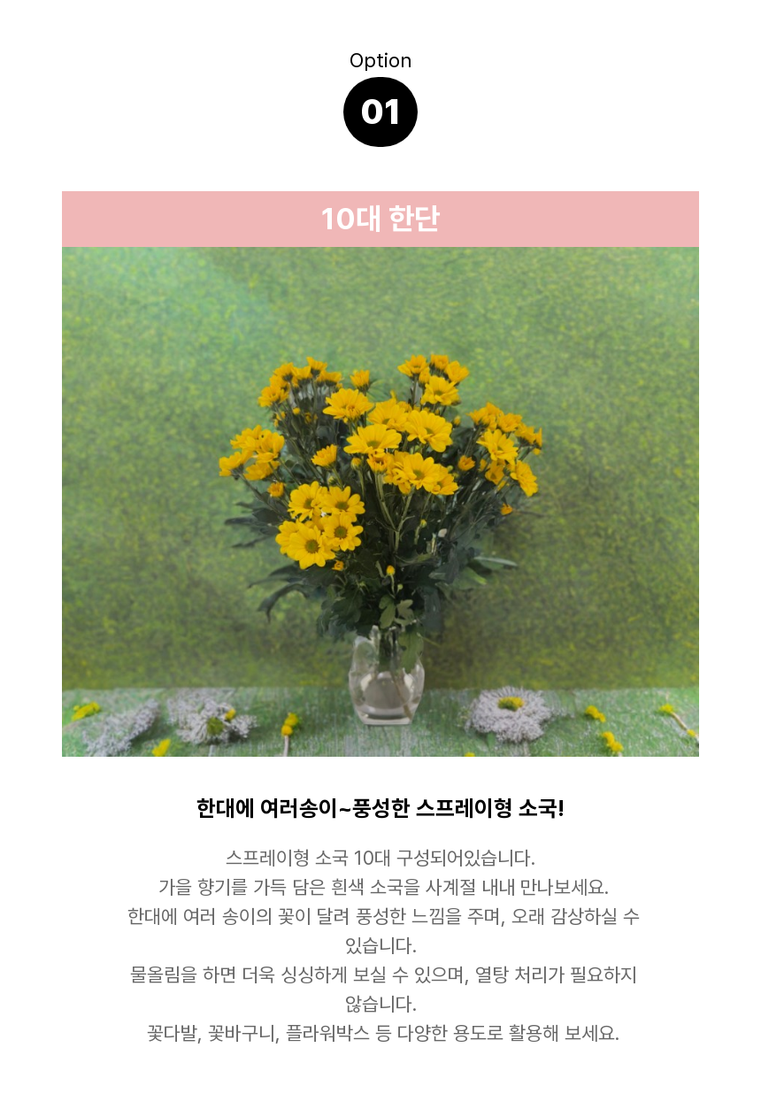 SAV_250521103624_9.png