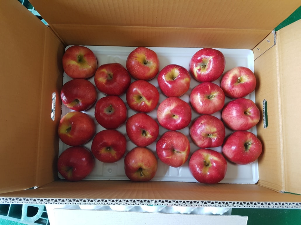 Resized_1756299176314.png