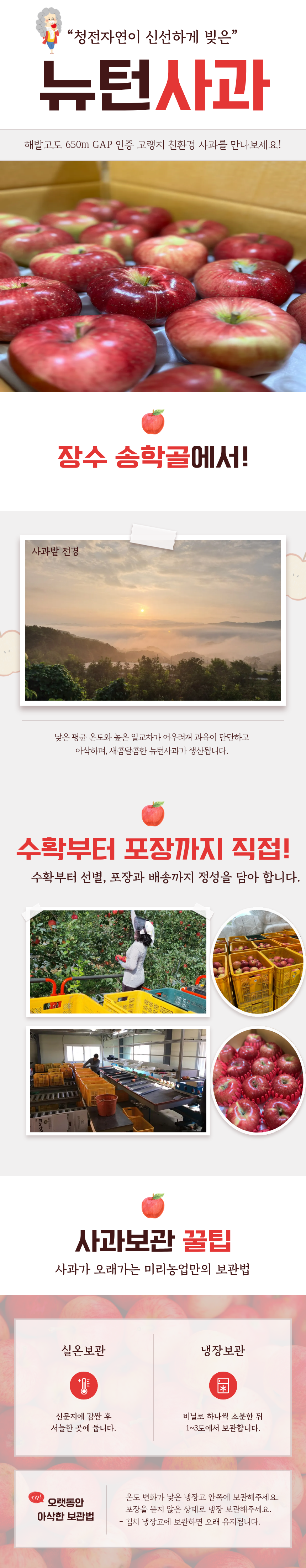 장수몰뉴턴사과.png