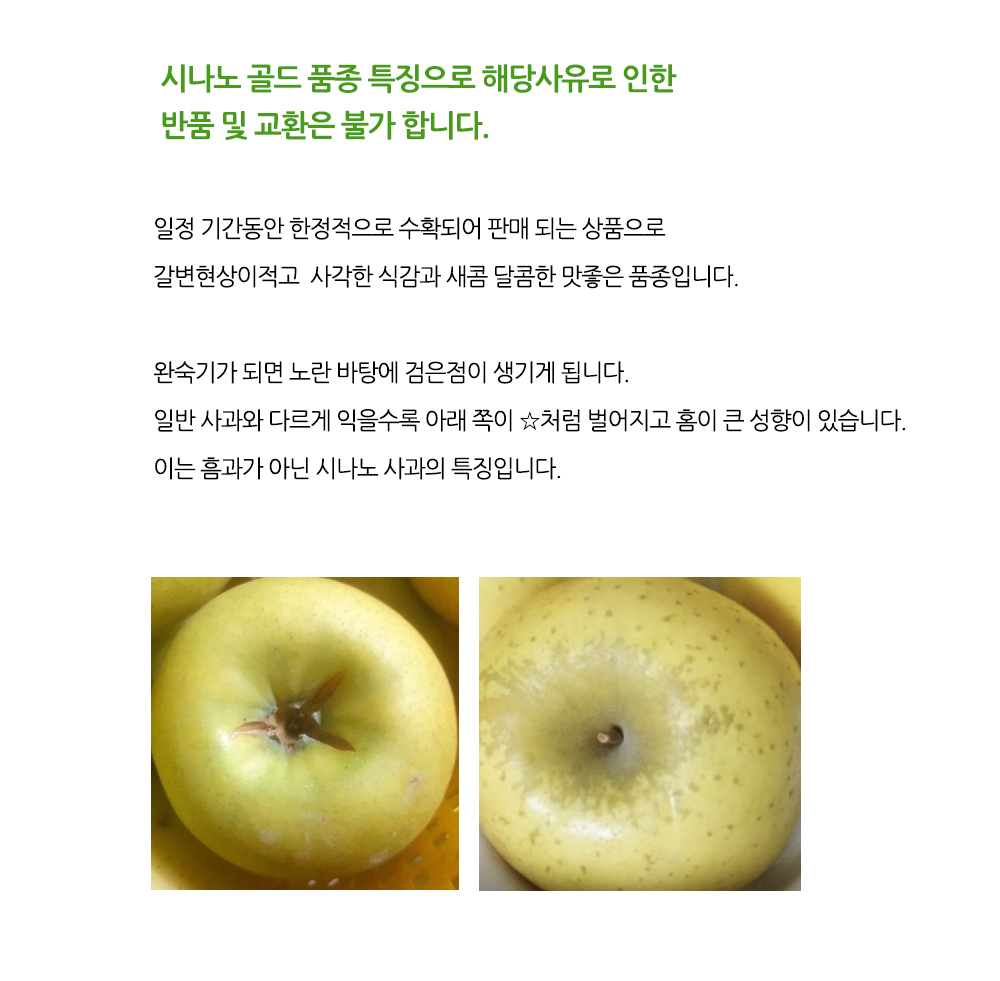 시나노-골드.jpg