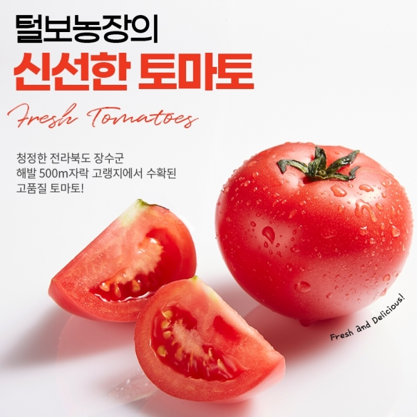 장수 고랭지 찰토마토 - 5kg 